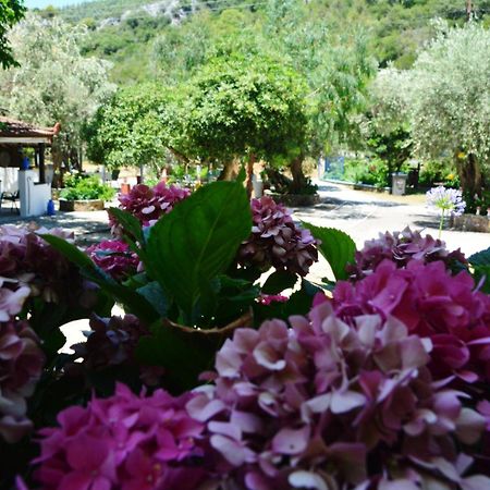 Spiros Rooms Panormos  Екстериор снимка