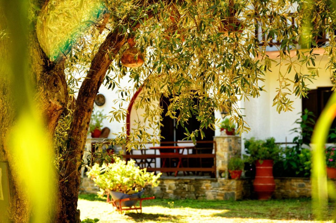Spiros Rooms Panormos  Екстериор снимка