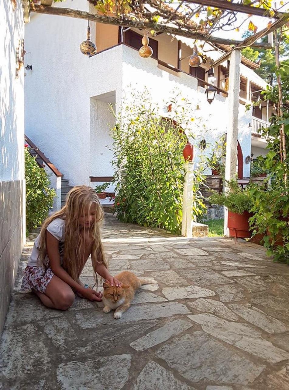 Spiros Rooms Panormos  Екстериор снимка